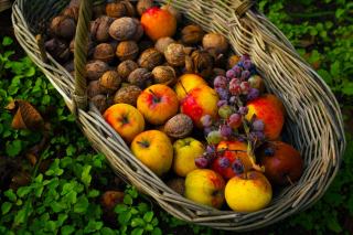 fruits legumes octobre