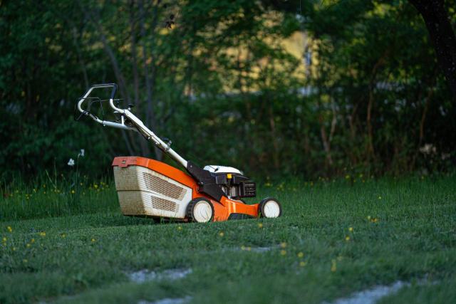 Scarifier ou aérer : choisir la bonne machine pour remettre son gazon en état Scarifier ou aérer : choisir la bonne machine pour remettre son gazon en état